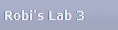 Robi's Lab 3